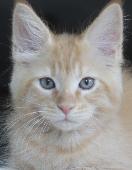 Ragnar