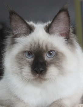 Fiona is beautiful
