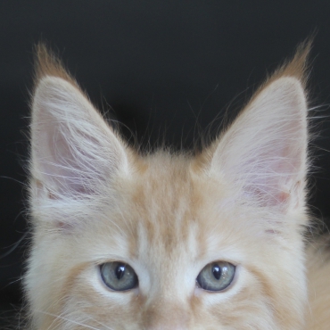 Ragnar