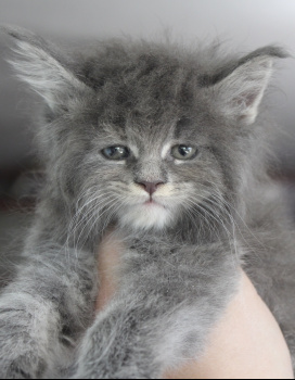 Tina